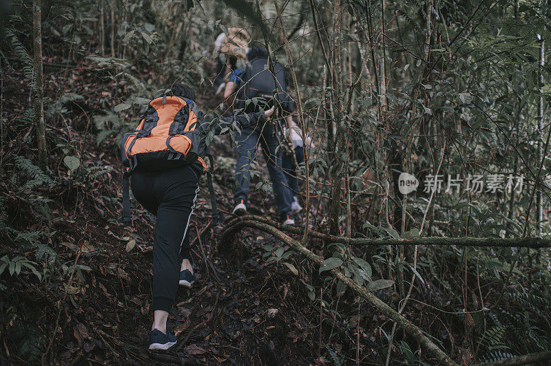 亚洲华人女性徒步旅行者探索苔藓森林在卡梅伦高地行走在后视镜