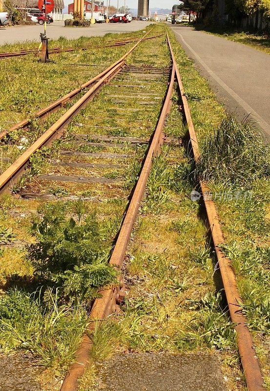 杂草生长在废弃的铁路轨道上