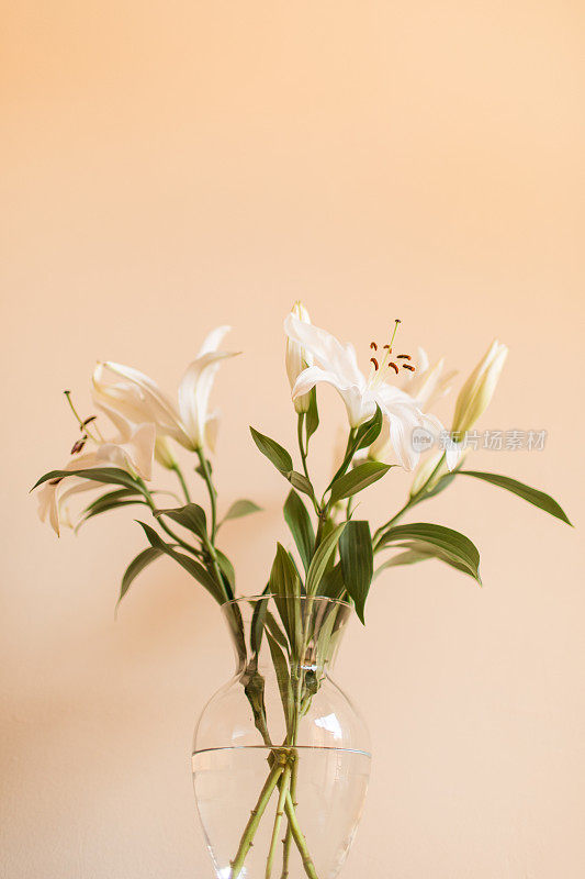 白色复活节百合花和中性的背景，一个简单舒适的2021年情人节在家