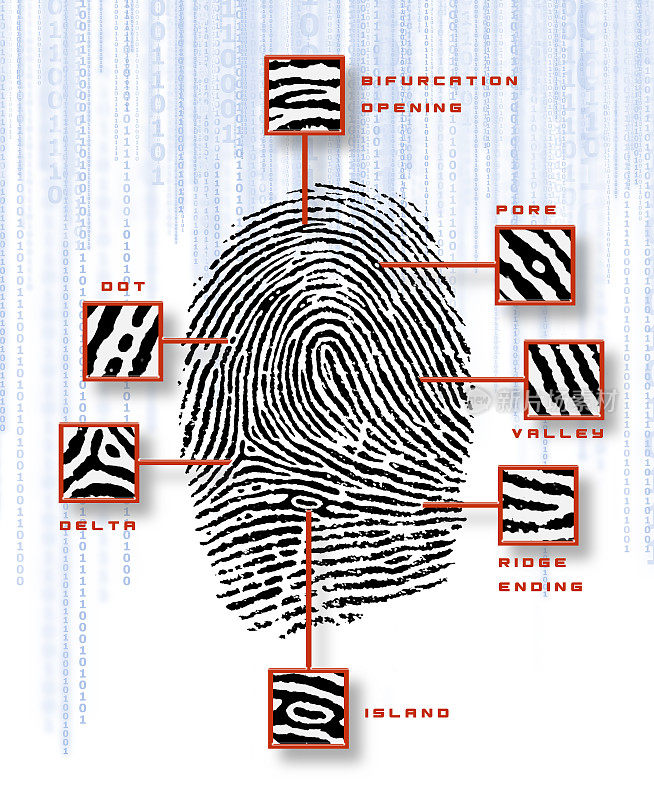 指纹扫描技术安全与生物识别概念