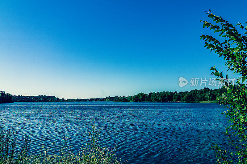 一个大湖在夏天的景色。