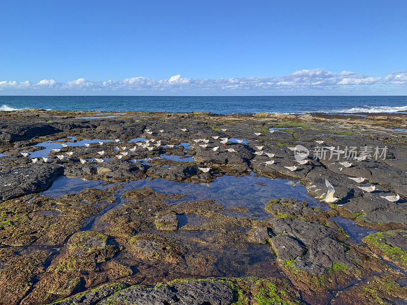 海滨Rockpool