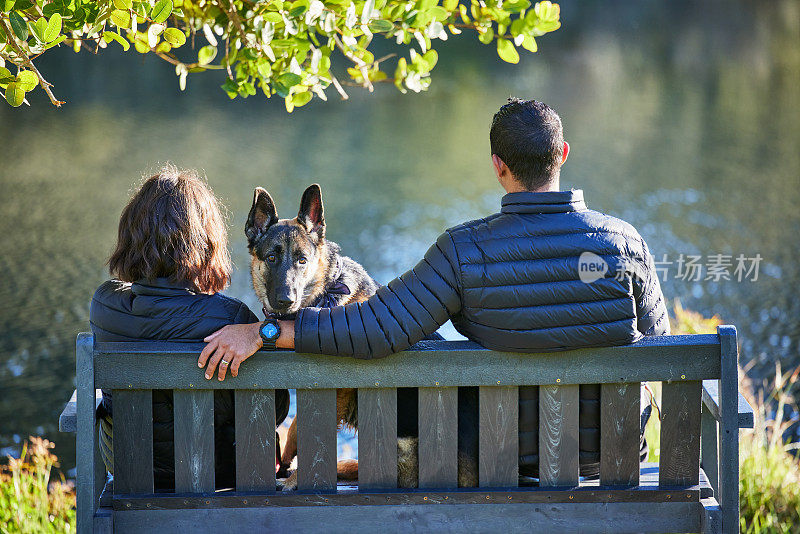 从后视镜中可以看到一对夫妇坐在长椅上，带着他们的狗狗看着湖面