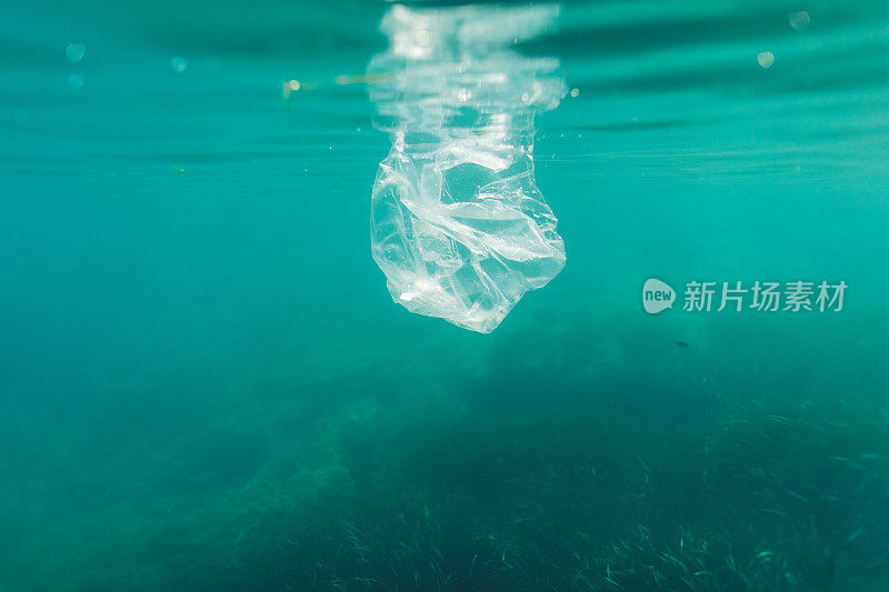 塑料袋污染海洋