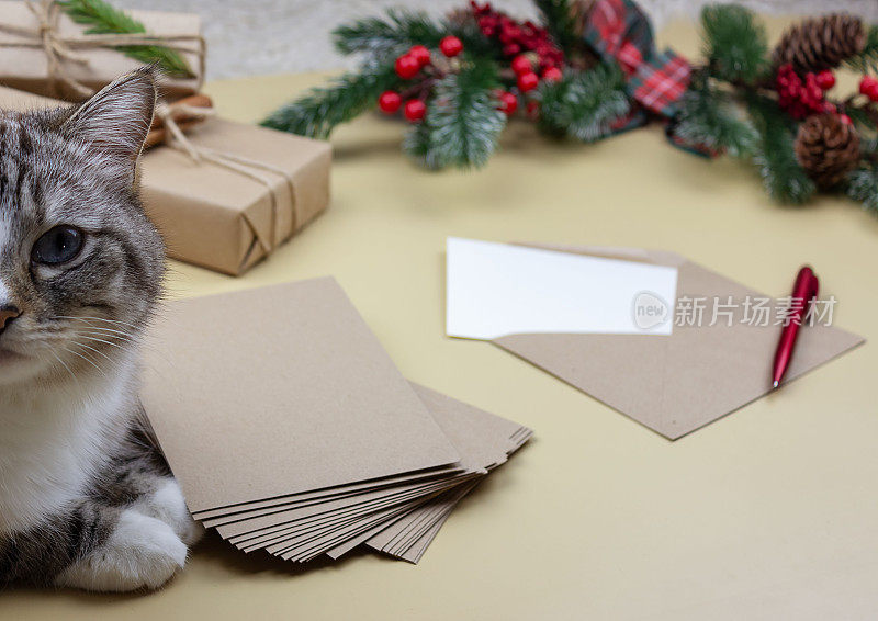 在浅色背景下，装在牛皮纸信封里的空白纸。附近有一只猫，一棵云杉和礼物。