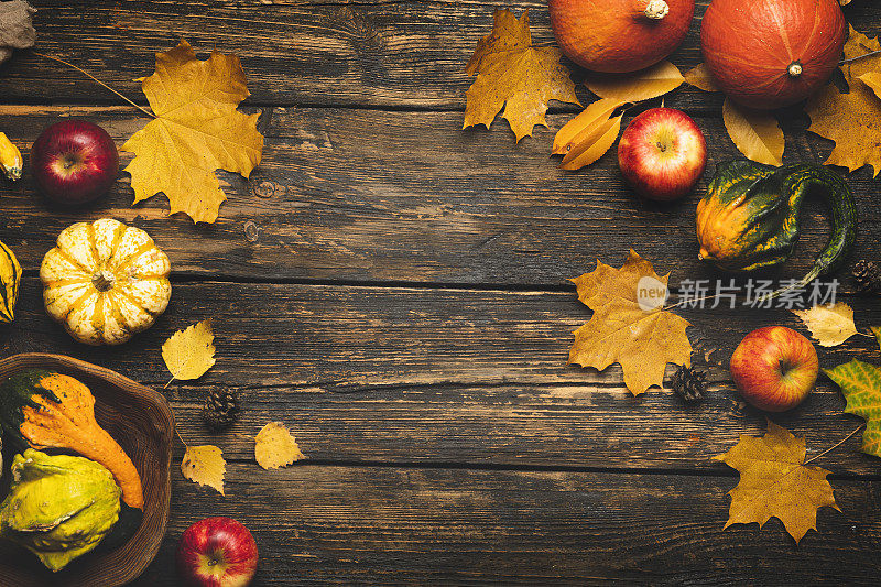 感恩节或季节性的秋天背景与南瓜和落叶
