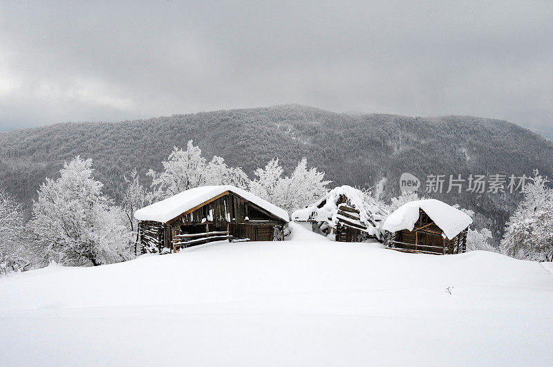 下大雪的森林村庄