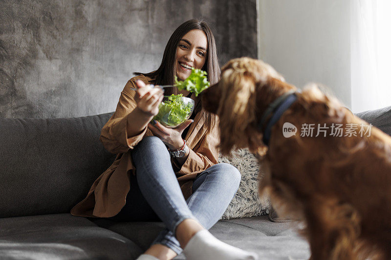一个女人在家享受休息，吃着健康的蔬菜沙拉。她的狗也希望得到一些。