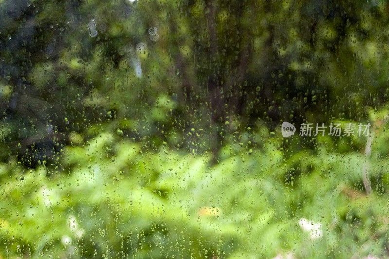 下雨天，大自然透过窗户。下雨天的绿叶透过窗户。