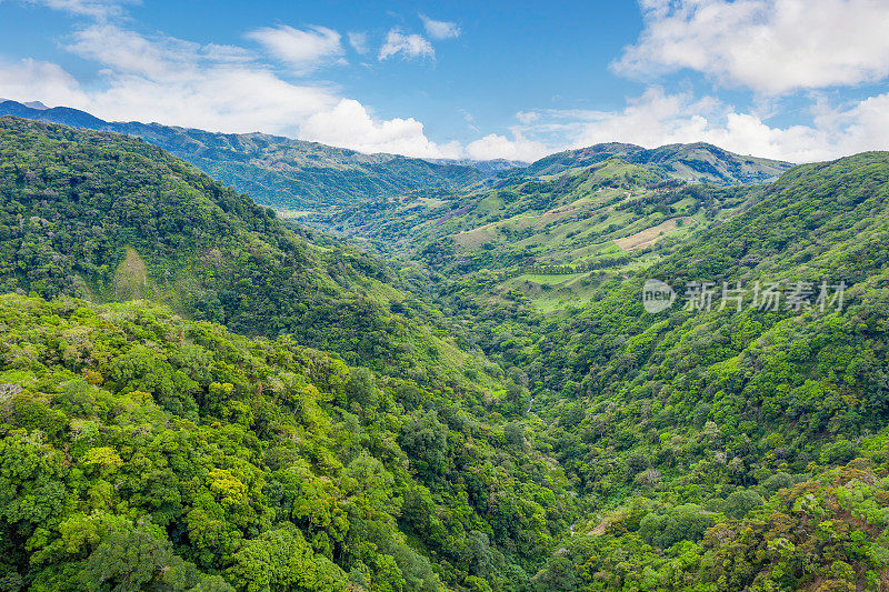 Monteverde云雾森林保护区的高架景观，哥斯达黎加