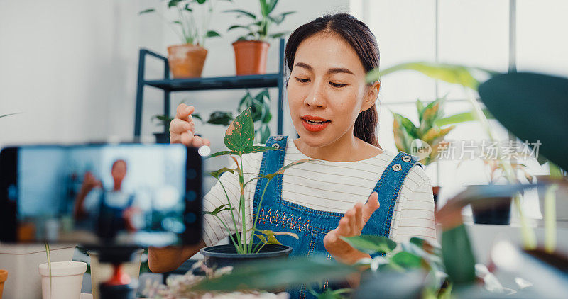 年轻的亚洲妇女用电话接收购买订单，并显示植物录制视频直播早上在树店。