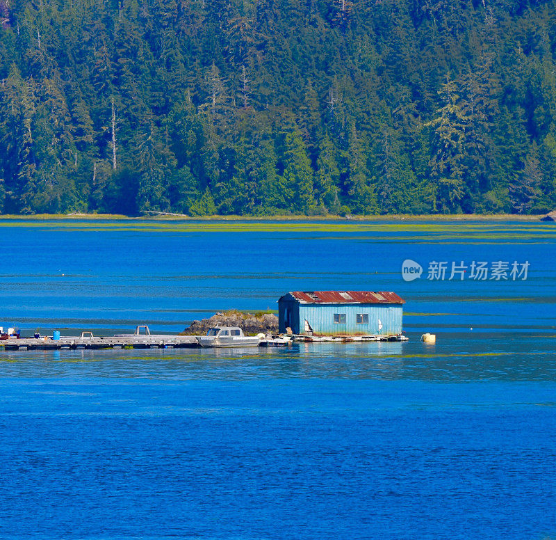 Tofino、加拿大