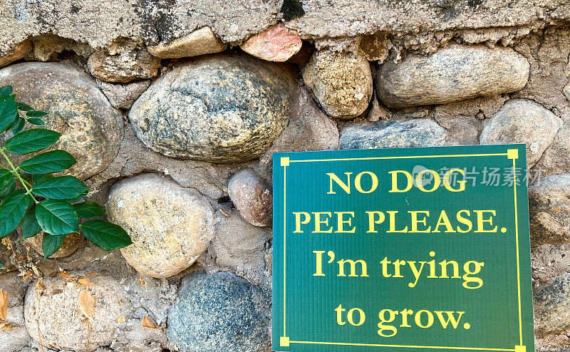 岩石墙上的绿色标志:请勿狗尿