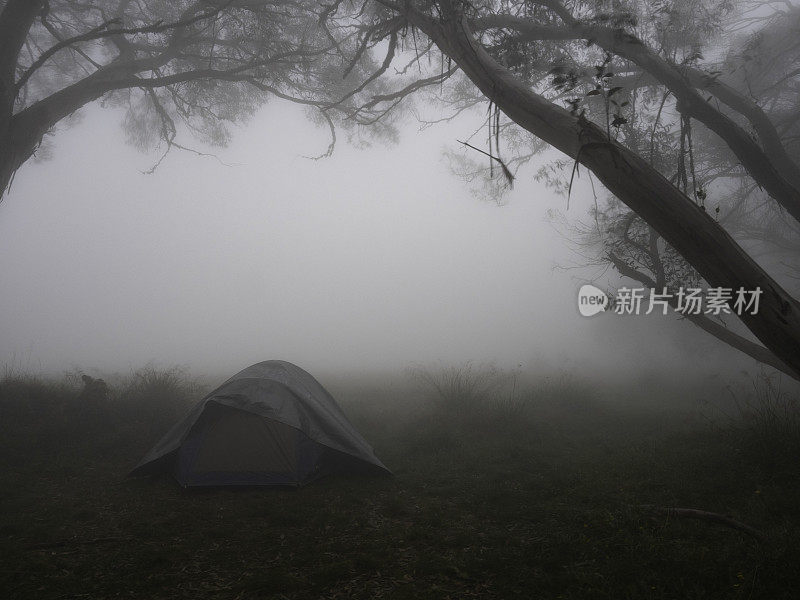 大雾早晨的徒步帐篷