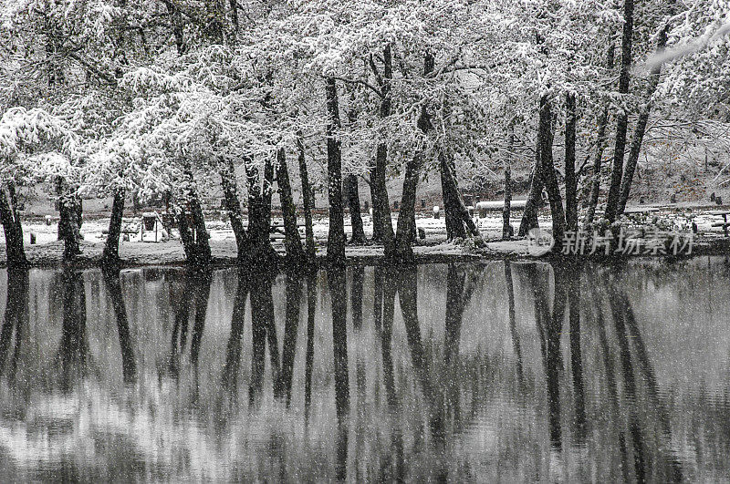 冬季Yedigöller国家公园湖上山毛榉树的倒影