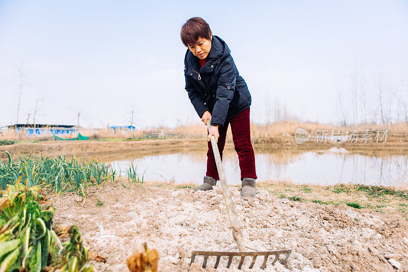 一位亚洲农民翻新了他菜园里的土壤——这是一种健康的生活方式