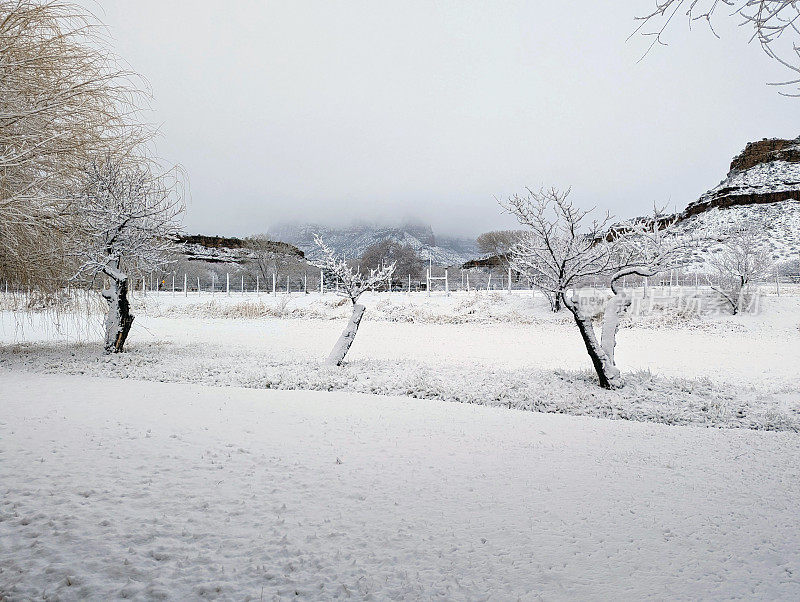 在犹他州洛克维尔的格拉夫顿路上，冬天被雪覆盖的牧场，背景是锡安国家公园