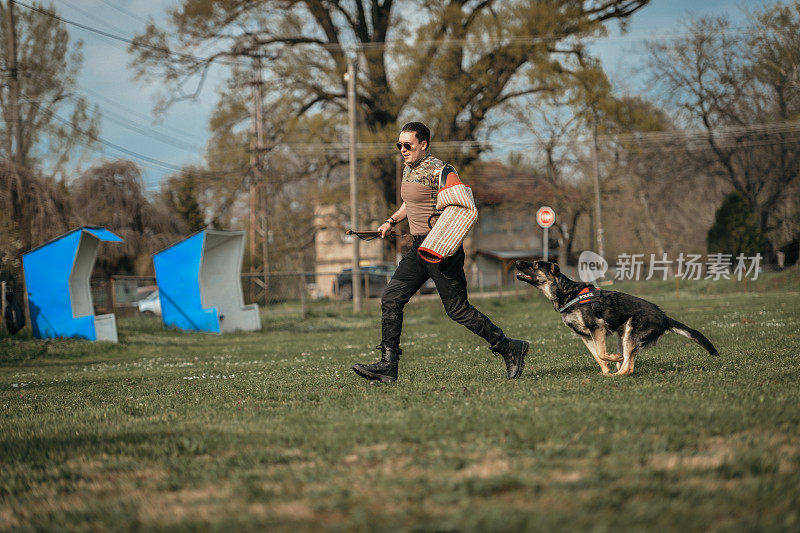 德国牧羊犬好斗的狗训练服从