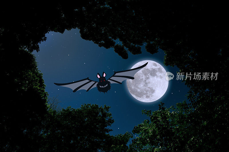 超级月亮升起，蝙蝠在黑暗的森林中飞翔