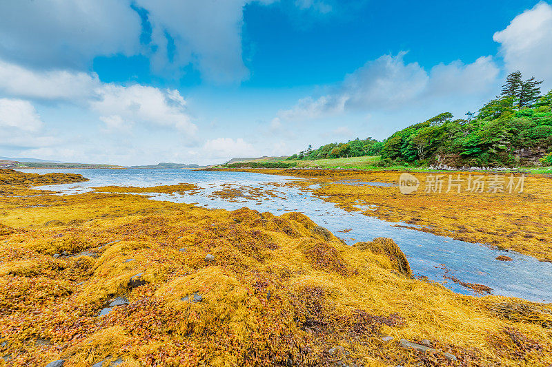 英国苏格兰斯凯岛色彩斑斓的风景