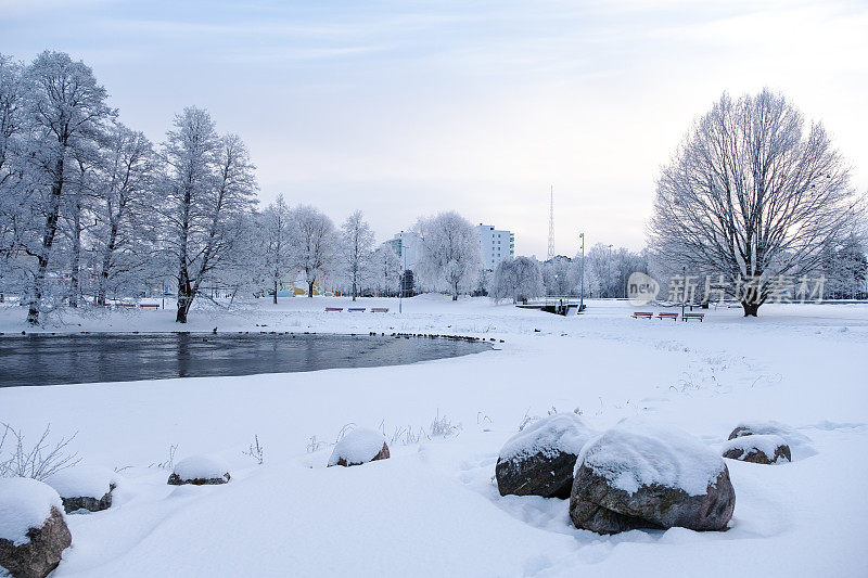 冬天的风景。冰雪覆盖的树木，城市公园里湖面上的雪堆和冰。拉赫蒂寒冷的冬日。