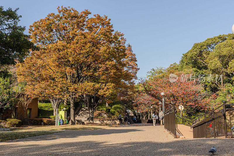 日本大阪天王寺公园的花园、树木和建筑