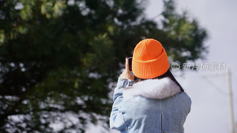 一个女人在寒冷的天气里穿行于白雪覆盖的山林之中