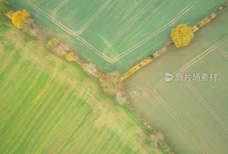 德国秋季无人机拍摄的耕地和森林