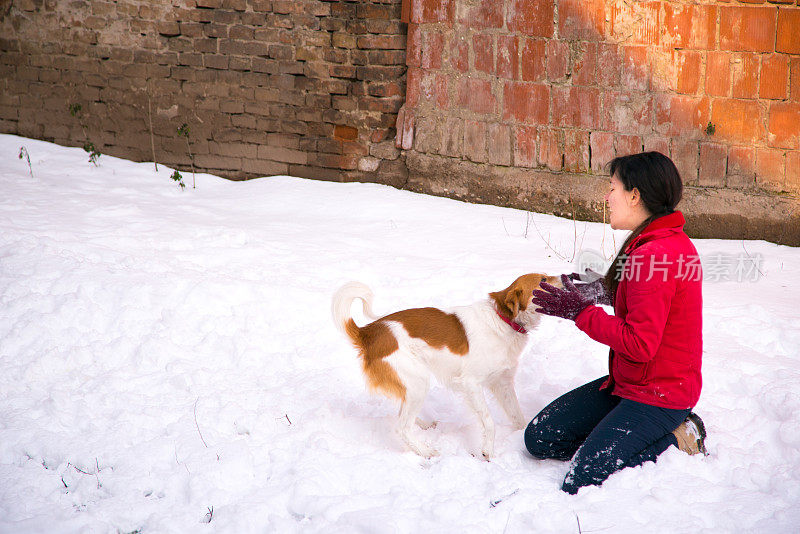 一个女人在雪里和狗玩