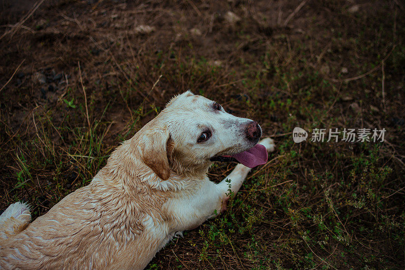 和你最好的朋友一起享受夏日