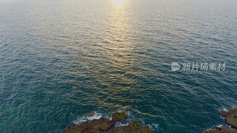 岩石海岸线与苔藓雄蜂的观点