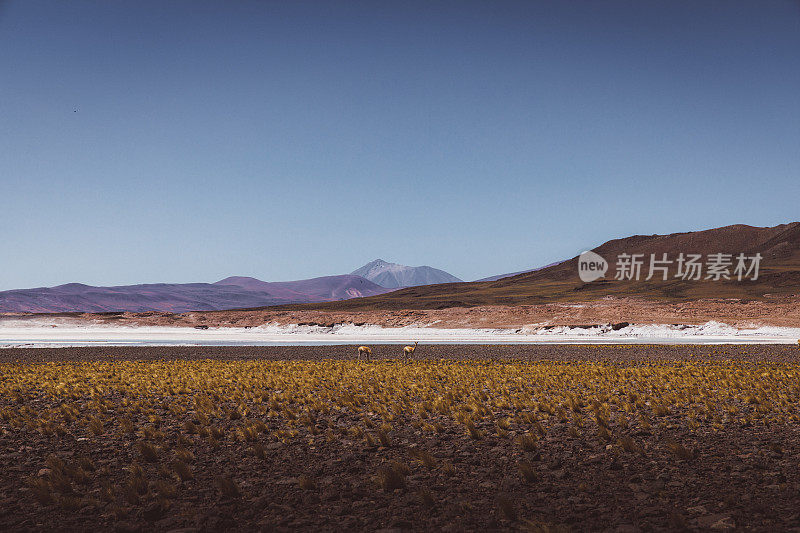 在阿塔卡马沙漠萨拉德塔拉尔火山景观的风景