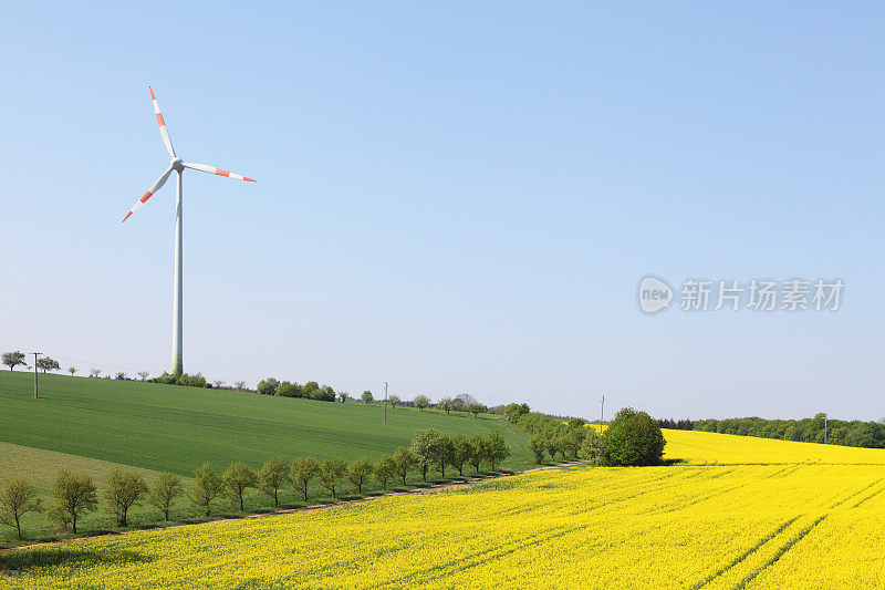 替代能源风力发电机和油菜田