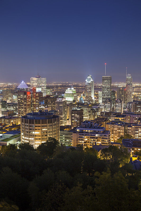 加拿大蒙特利尔夜晚的城市天际线