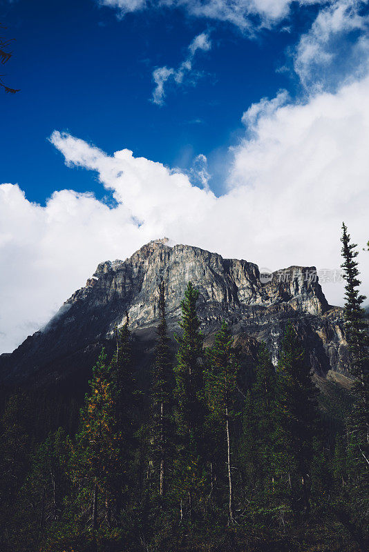 美丽的山川和树木