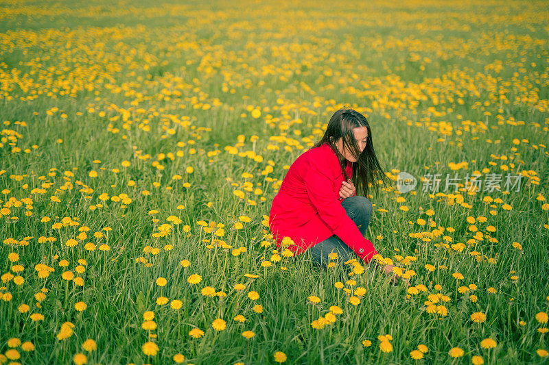 蒲公英田里的女人