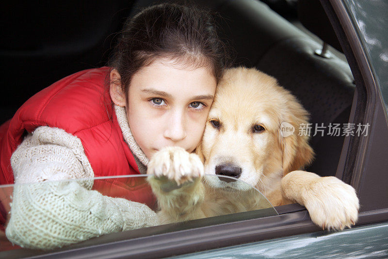 小女孩和金毛猎犬在车里