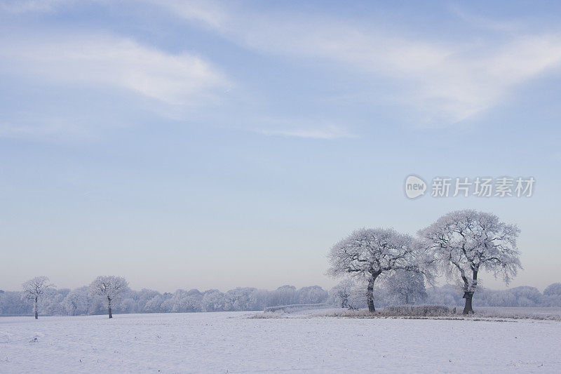 冬天的场景-白雪覆盖的乡村