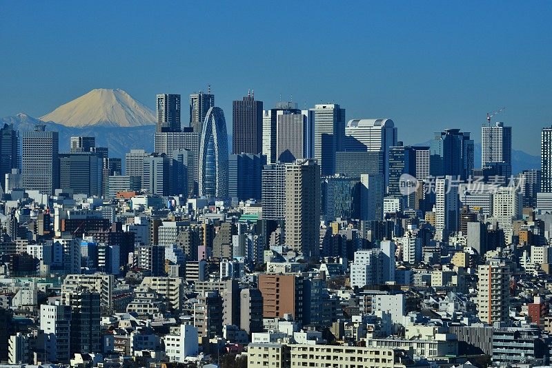 富士山和东京的天际线:白天和晚上