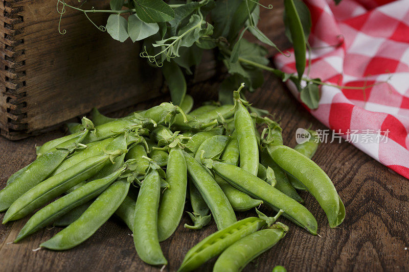 新鲜采摘的有机绿色蔬菜豌豆