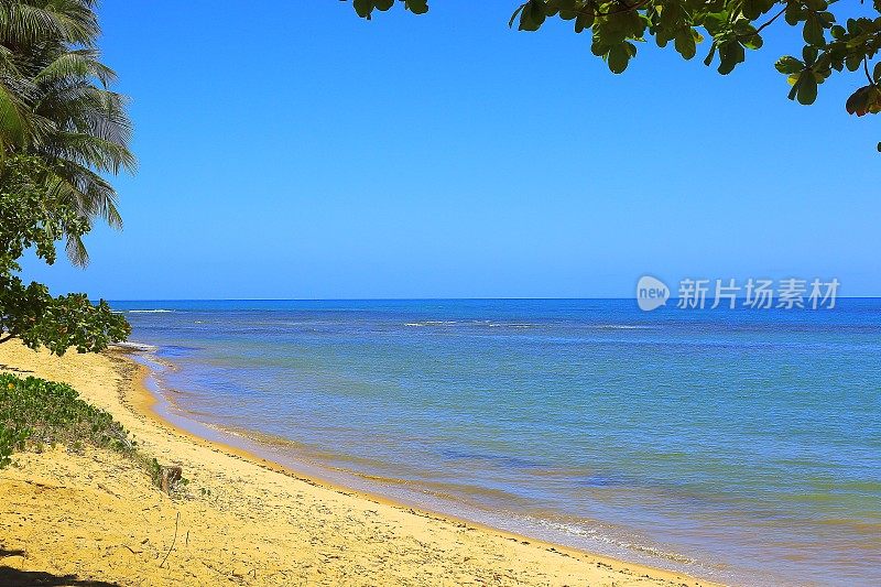 天堂:Boipeba田园诗般的热带海滩，巴伊亚州，巴西东北部