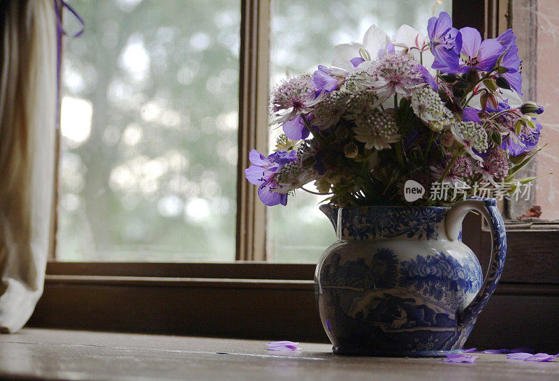 窗台上的瓷器花瓶里插着紫色和白色的花