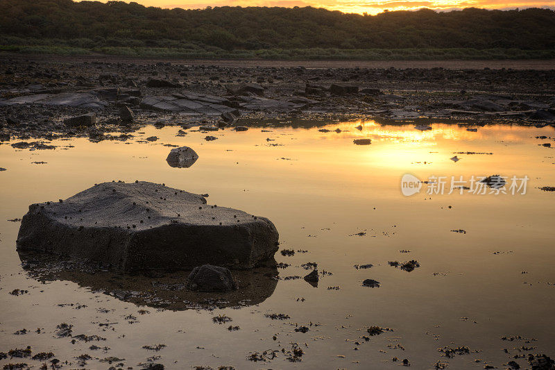 黎明在Aberlady