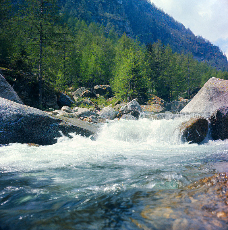 山上的小溪，流水前景，岩石和木材的背景