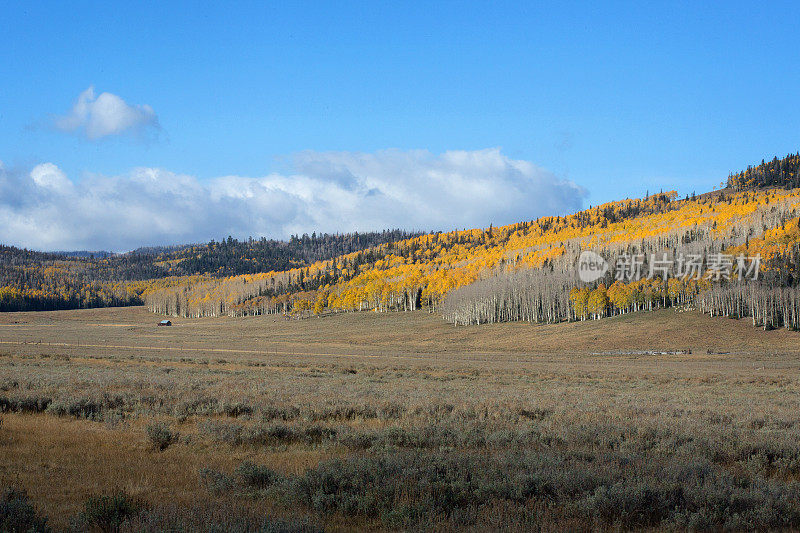 迪克西国家森林公园