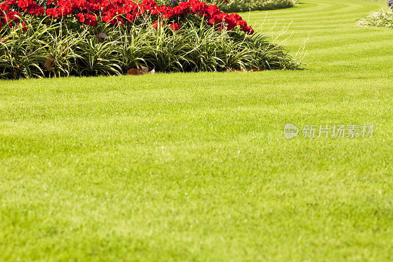 整洁的新修剪的条纹草坪和花园的花坛
