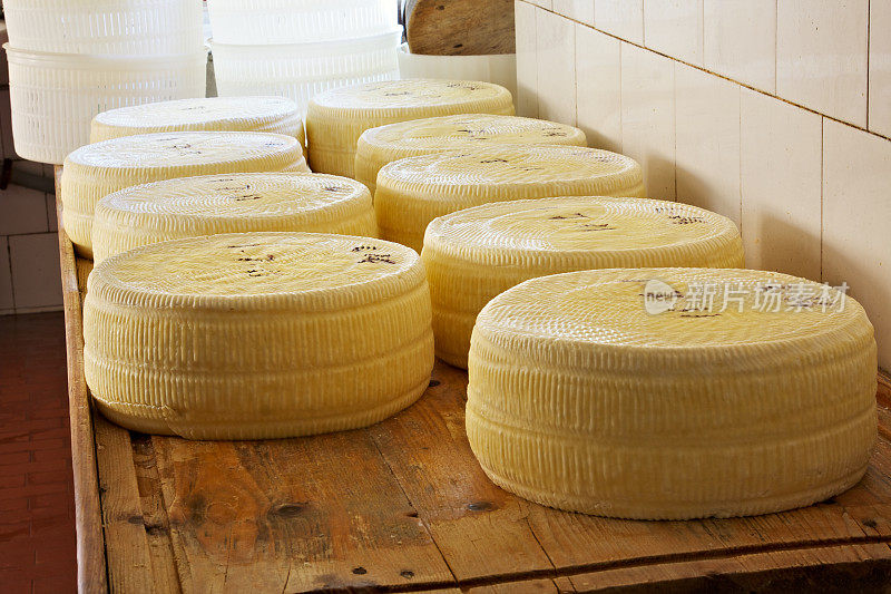 阿齐亚戈奶酪在工厂里陈化