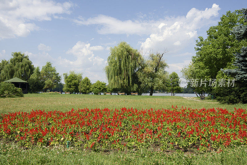 罗马尼亚布加勒斯特的赫拉斯特劳公园