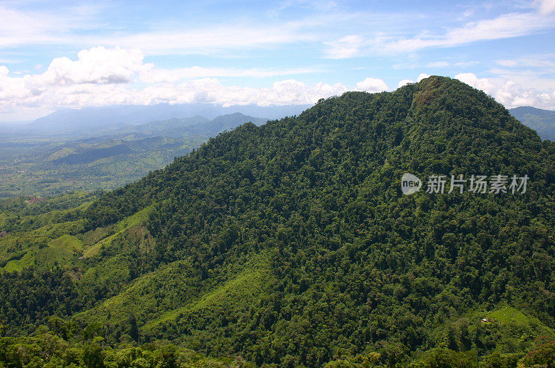 洪都拉斯北部海岸山区的热带雨林遗迹