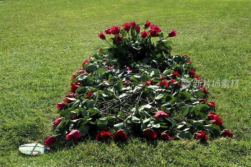 用红玫瑰装饰的坟墓